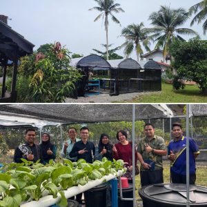 AGROTHERAPY “GREEN HOUSE, REFRESHED MIND”